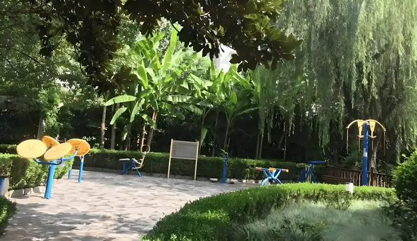 无极大帝尊