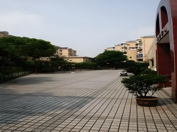 隐龙埋凤：逃婚神医