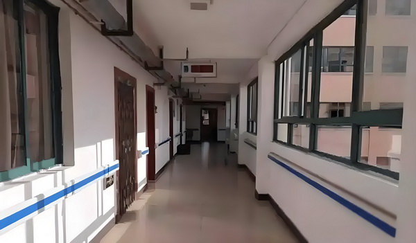 一世独宠，二嫁为凰